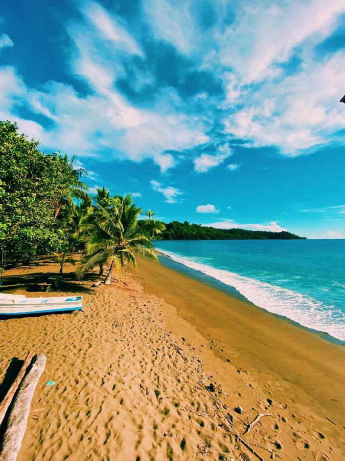 VISTA DRAKE LODGE, COSTA RICA/OSA PENINSULA: 228 fotos, comparação